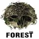 森林官方下载_森林中文客户端下载