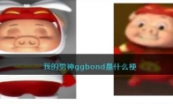 我的男神ggbond是什么梗