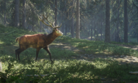 《猎人：荒野的呼唤》赫希费尔登动物有什么特点