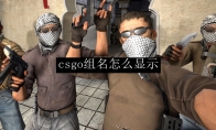 csgo组名怎么显示