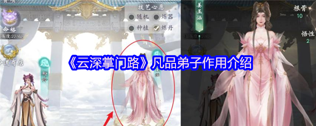 云深掌门路凡品弟子作用介绍
