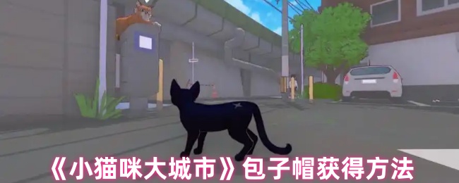 小猫咪大城市包子帽获得方法