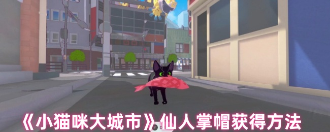 小猫咪大城市仙人掌帽获得方法