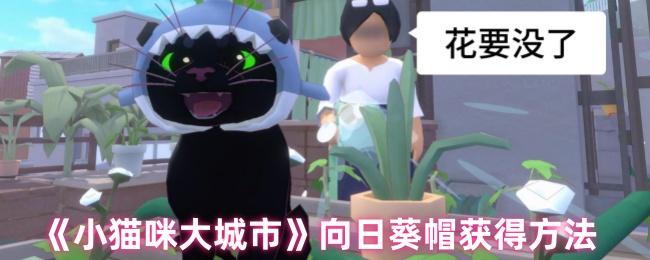 小猫咪大城市向日葵帽获得方法