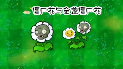 植物大战僵尸三消版游戏下载_植物大战僵尸三消版电脑版免费下载截图-2