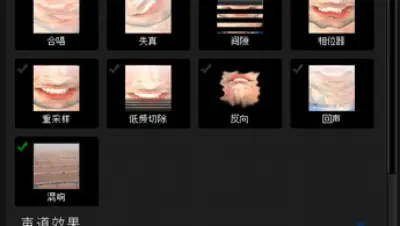 MorphVOX Pro 5 - Voice Changer游戏下载_MorphVOX Pro 5 - Voice Changer电脑版免费下载截图-1