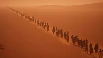 寂静之国的波斯菊游戏下载_寂静之国的波斯菊电脑版免费下载截图-11